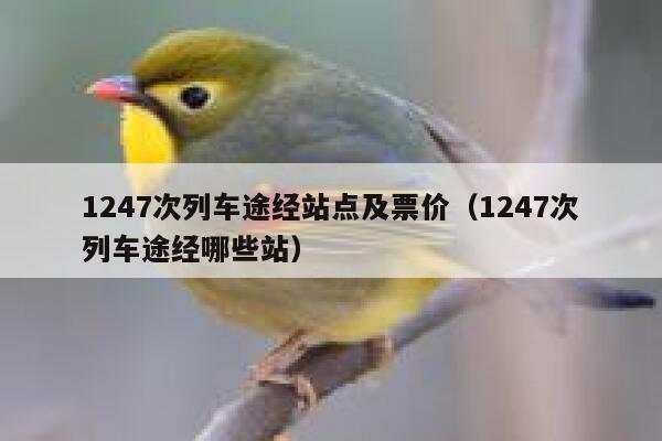 1247次列车途经站点及票价（1247次列车途经哪些站） 第1张