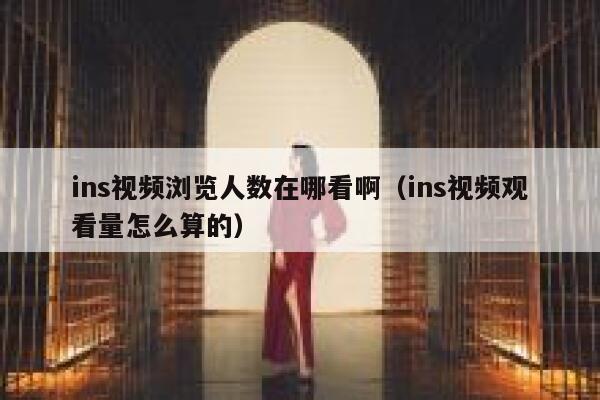 ins视频浏览人数在哪看啊（ins视频观看量怎么算的） 第1张