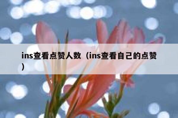 ins查看点赞人数（ins查看自己的点赞） 第1张