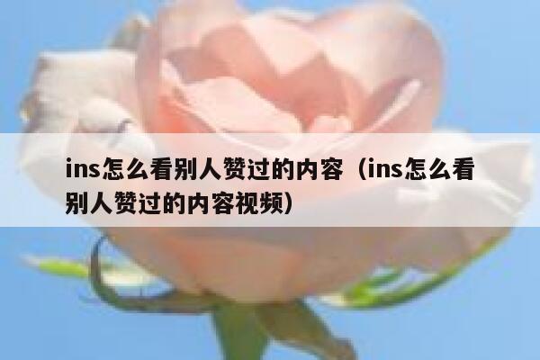 ins怎么看别人赞过的内容（ins怎么看别人赞过的内容视频） 第1张