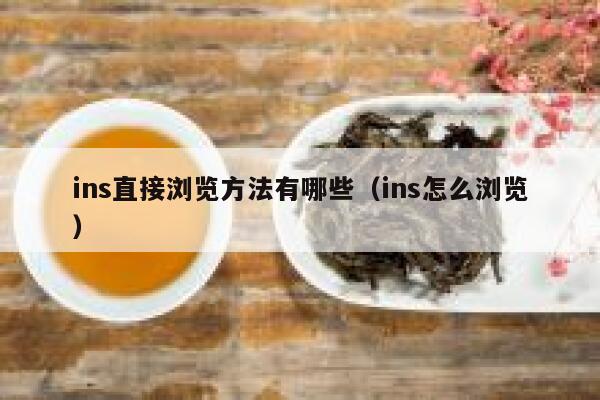 ins直接浏览方法有哪些(ins怎么浏览) 第1张 ins直接浏览方法有哪些(ins怎么浏览) 第1张