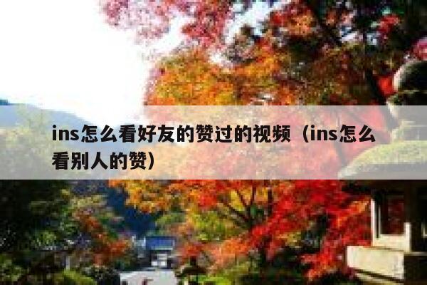 ins怎么看好友的赞过的视频（ins怎么看别人的赞） 第1张