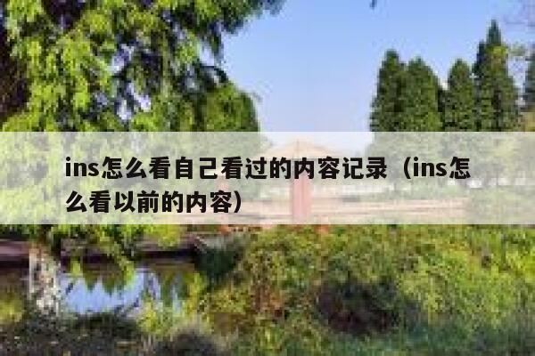 ins怎么看自己看过的内容记录（ins怎么看以前的内容） 第1张
