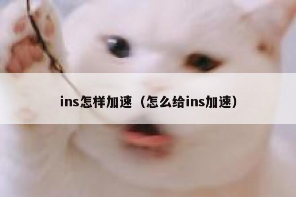 ins怎样加速（怎么给ins加速） 第1张