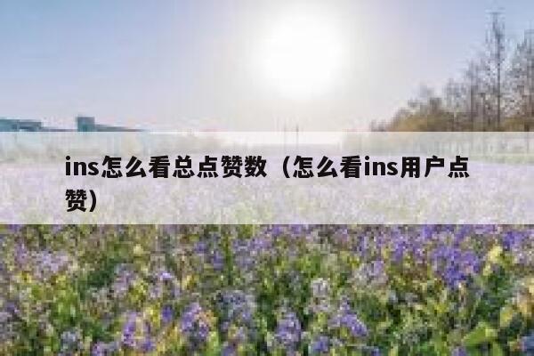 ins怎么看总点赞数（怎么看ins用户点赞） 第1张