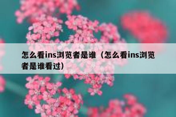 怎么看ins浏览者是谁（怎么看ins浏览者是谁看过） 第1张