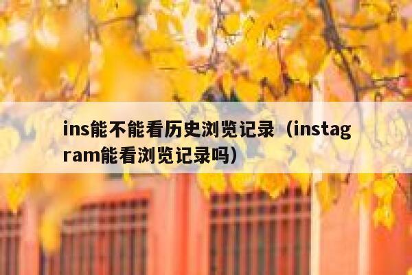 ins能不能看历史浏览记录（instagram能看浏览记录吗） 第1张