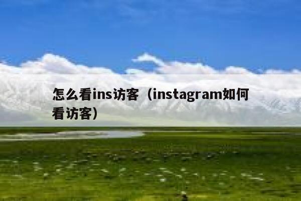 怎么看ins访客（instagram如何看访客） 第1张