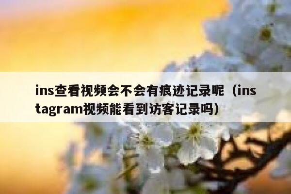 ins查看视频会不会有痕迹记录呢（instagram视频能看到访客记录吗） 第1张