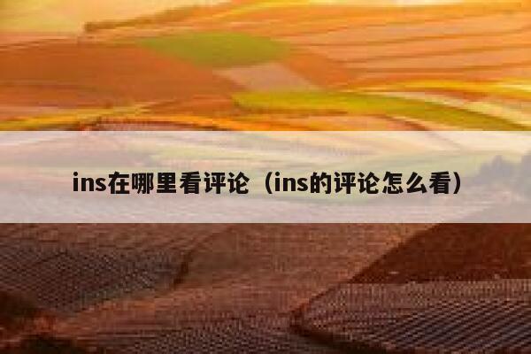 ins在哪里看评论（ins的评论怎么看） 第1张