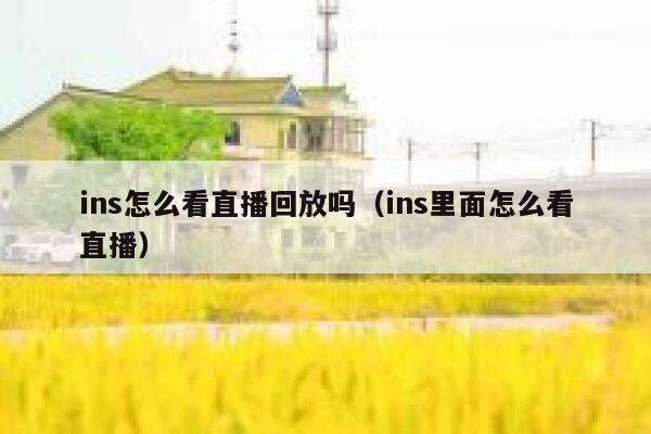 ins怎么看直播回放吗（ins里面怎么看直播） 第1张