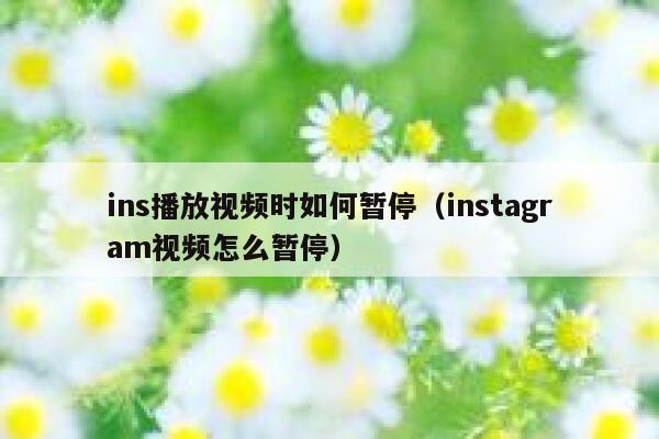 ins播放视频时如何暂停（instagram视频怎么暂停） 第1张