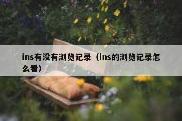 ins有没有浏览记录（ins的浏览记录怎么看） 第1张