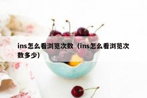 ins怎么看浏览次数（ins怎么看浏览次数多少） 第1张
