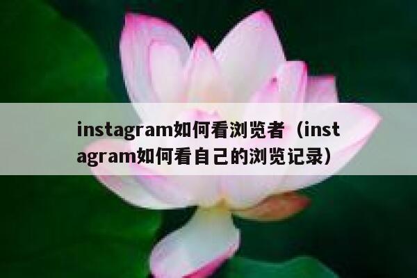 instagram如何看浏览者（instagram如何看自己的浏览记录） 第1张