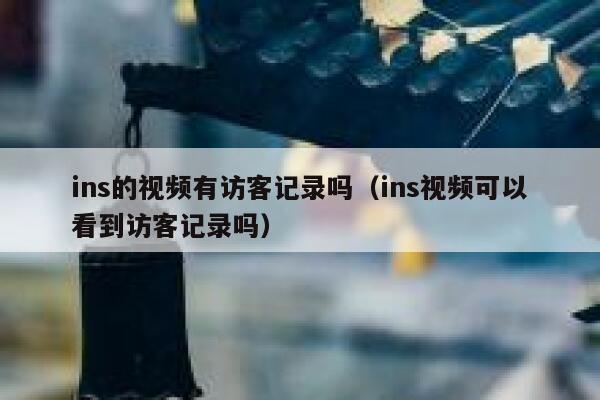 ins的视频有访客记录吗（ins视频可以看到访客记录吗） 第1张