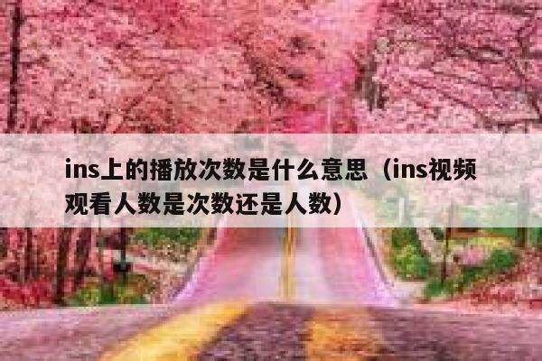 ins上的播放次数是什么意思（ins视频观看人数是次数还是人数） 第1张