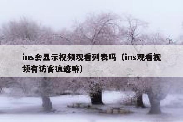 ins会显示视频观看列表吗（ins观看视频有访客痕迹嘛） 第1张