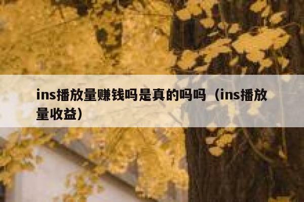 ins播放量赚钱吗是真的吗吗（ins播放量收益） 第1张