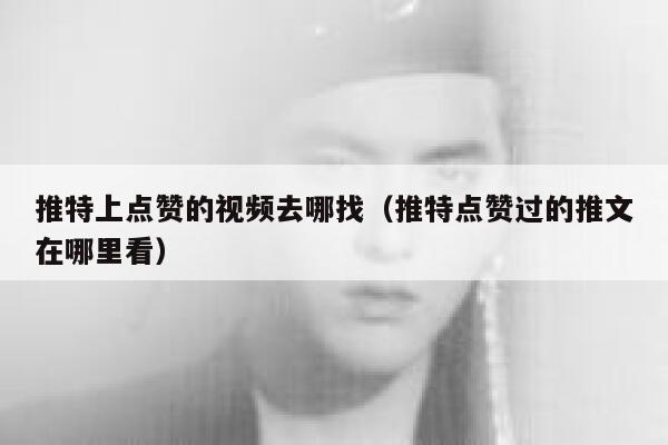 推特上点赞的视频去哪找（推特点赞过的推文在哪里看） 第1张