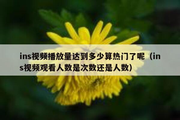 ins视频播放量达到多少算热门了呢（ins视频观看人数是次数还是人数） 第1张