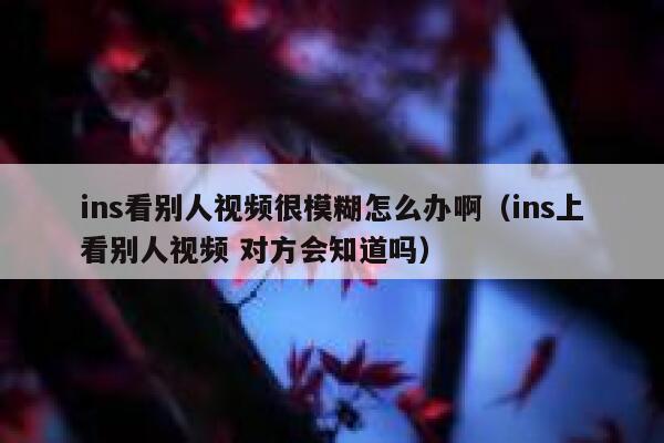 ins看别人视频很模糊怎么办啊（ins上看别人视频 对方会知道吗） 第1张