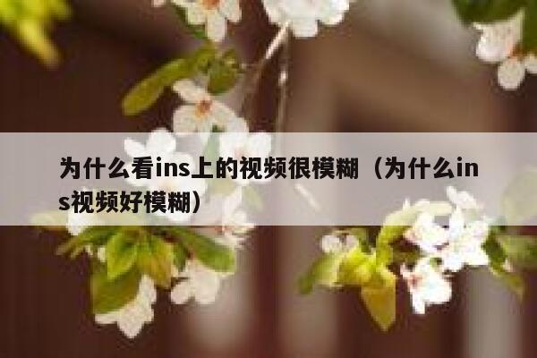 为什么看ins上的视频很模糊（为什么ins视频好模糊） 第1张