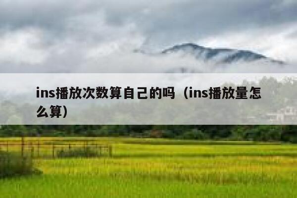 ins播放次数算自己的吗（ins播放量怎么算） 第1张
