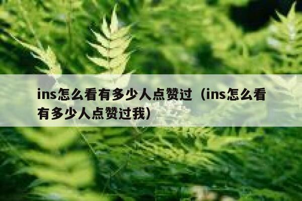 ins怎么看有多少人点赞过（ins怎么看有多少人点赞过我） 第1张