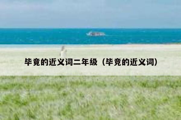 毕竟的近义词二年级（毕竞的近义词） 第1张