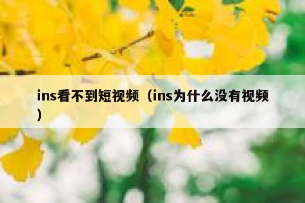 ins看不到短视频（ins为什么没有视频） 第1张
