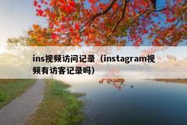 ins视频访问记录（instagram视频有访客记录吗） 第1张