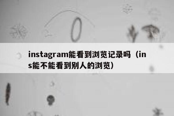 instagram能看到浏览记录吗（ins能不能看到别人的浏览） 第1张