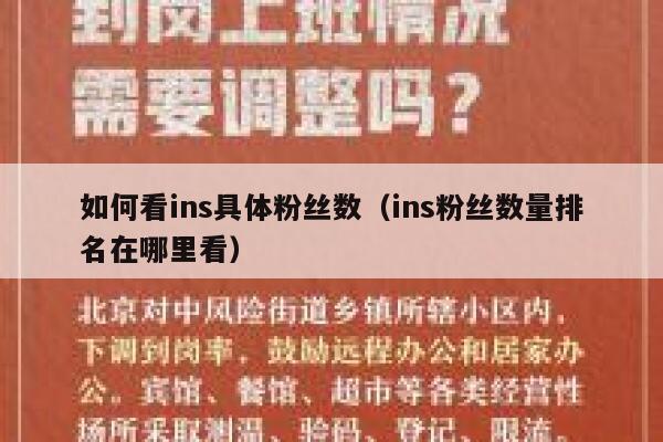 如何看ins具体粉丝数（ins粉丝数量排名在哪里看） 第1张