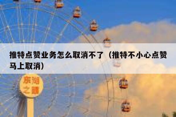 推特点赞业务怎么取消不了（推特不小心点赞马上取消） 第1张