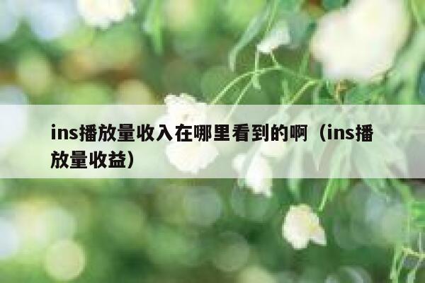 ins播放量收入在哪里看到的啊（ins播放量收益） 第1张
