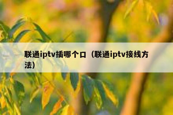联通iptv插哪个口（联通iptv接线方法） 第1张