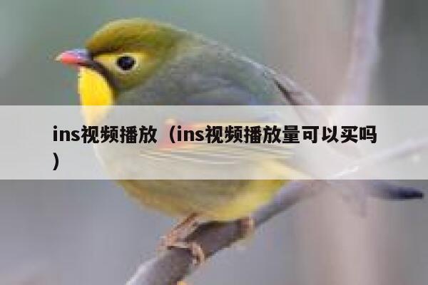 ins视频播放（ins视频播放量可以买吗） 第1张