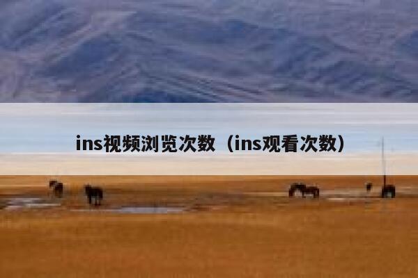 ins视频浏览次数（ins观看次数） 第1张