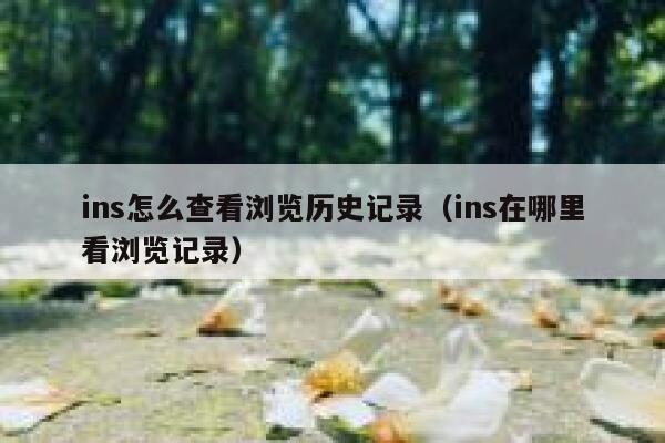 ins怎么查看浏览历史记录（ins在哪里看浏览记录） 第1张