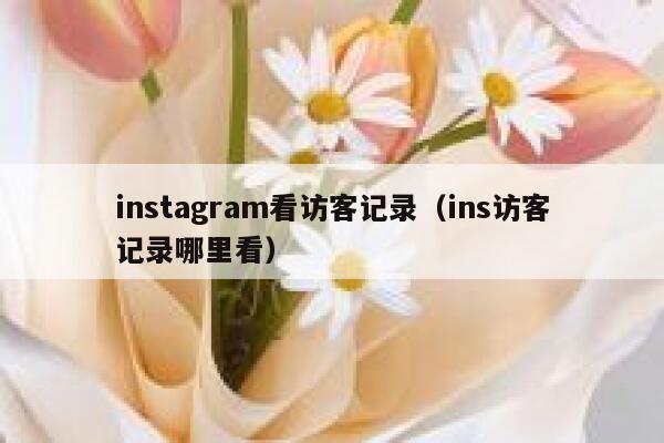 instagram看访客记录（ins访客记录哪里看） 第1张