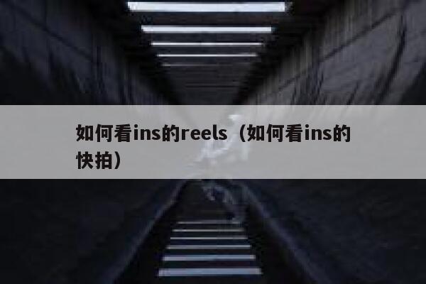 如何看ins的reels（如何看ins的快拍） 第1张
