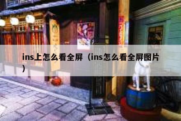 ins上怎么看全屏（ins怎么看全屏图片） 第1张