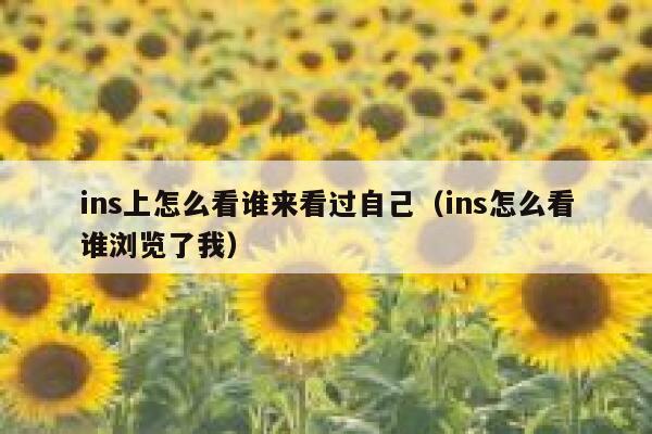 ins上怎么看谁来看过自己（ins怎么看谁浏览了我） 第1张