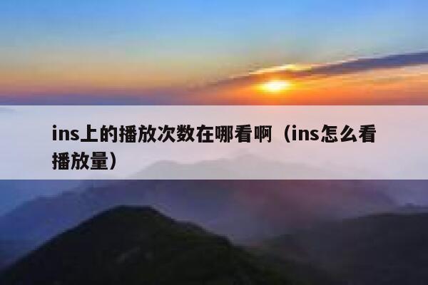 ins上的播放次数在哪看啊（ins怎么看播放量） 第1张