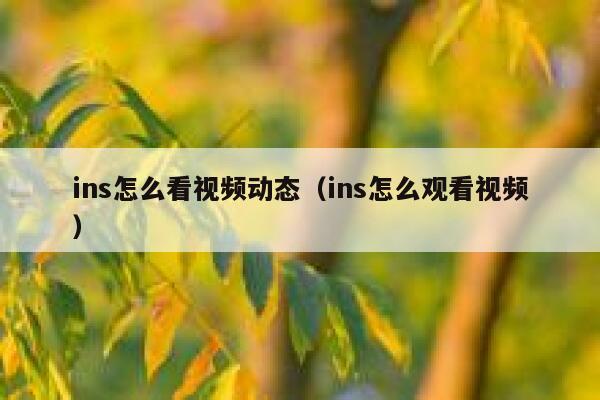 ins怎么看视频动态（ins怎么观看视频） 第1张