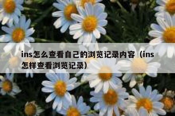 ins怎么查看自己的浏览记录内容（ins怎样查看浏览记录） 第1张
