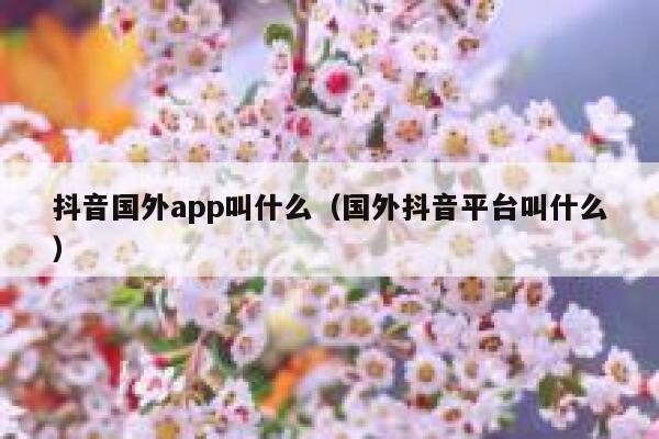 抖音国外app叫什么（国外抖音平台叫什么） 第1张
