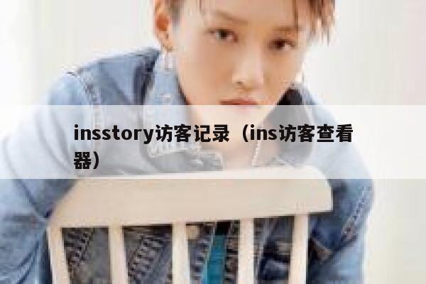insstory访客记录（ins访客查看器） 第1张