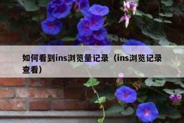 如何看到ins浏览量记录（ins浏览记录查看） 第1张